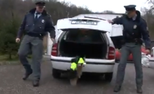 Ten film zrobi ci dzień...