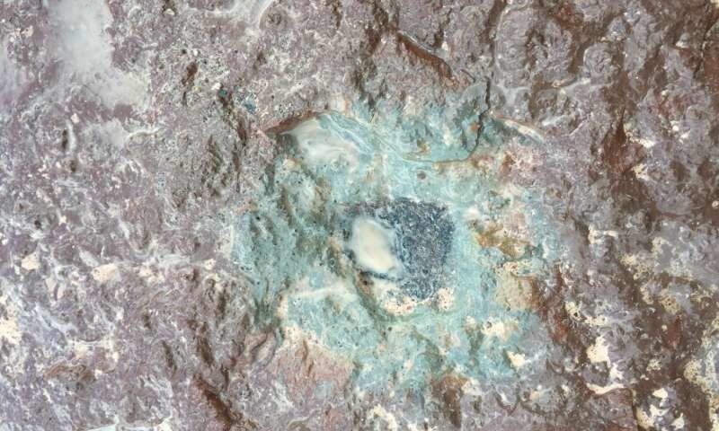 Ten fragment skały spadł na Ziemię 470 mln lat temu /fot. Qing-zhu Yin, UC Davis /materiały prasowe