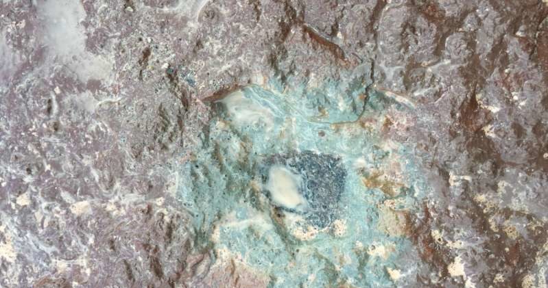 Ten fragment skały spadł na Ziemię 470 mln lat temu /fot. Qing-zhu Yin, UC Davis /materiały prasowe