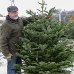 Ten gatunek choinki bije inne na głowę. Postoi do Trzech Króli bez gubienia igieł 