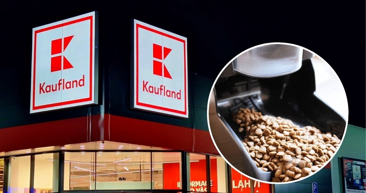 Ten hit wśród właścicieli psów i kotów jest teraz w promocji w Kauflandzie! Sprawdź! /adobestock /INTERIA.PL