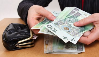 Ten kolor przyciąga pieniądze jak magnes. Warto mieć portfel w takim odcieniu