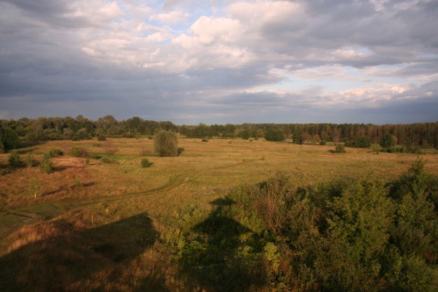 Ten las na horyzoncie to już Ukraina. A może Białoruś? /INTERIA.PL