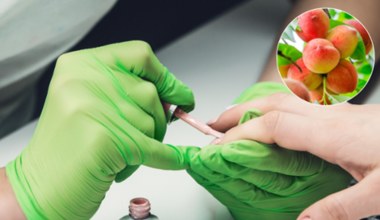Ten manicure wiosną będą nosić wszystkie kobiety. Kojarzy się z soczystym owocem