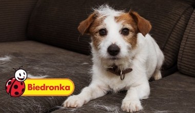 Ten niepozorny produkt z Biedronki rozwiązuje największy problem właścicieli zwierząt!