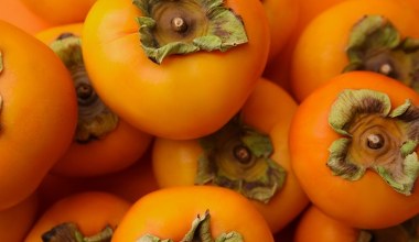 Ten owoc coraz częściej podbija polskie stoły. To istna bomba witaminowa