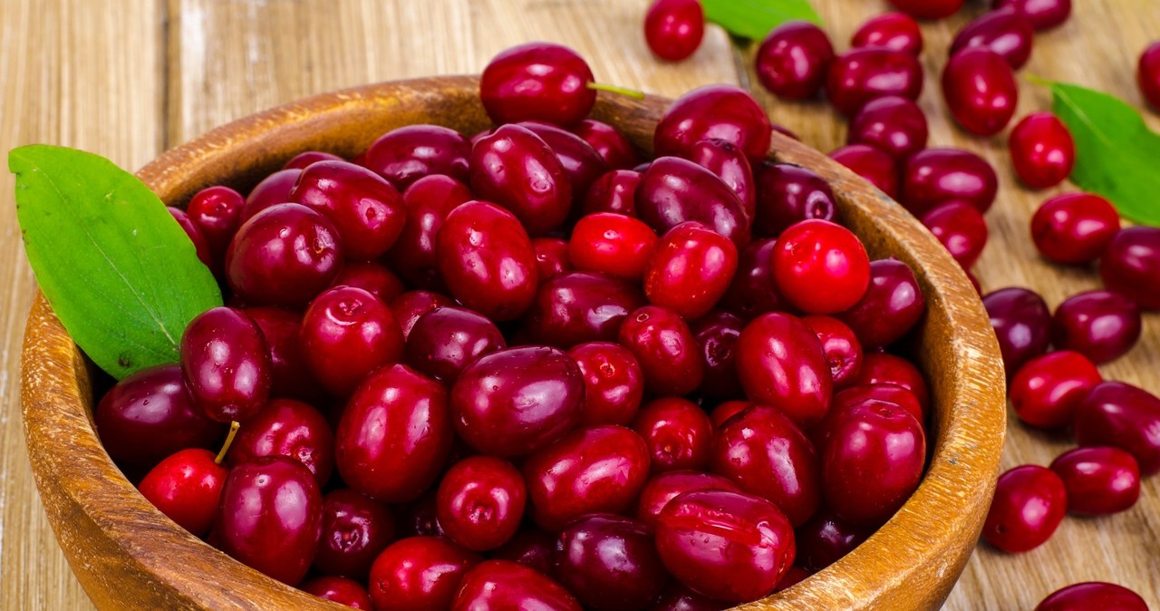 Ten polski superfood jest stanowczo za mało znany /artcookstudio /123RF/PICSEL
