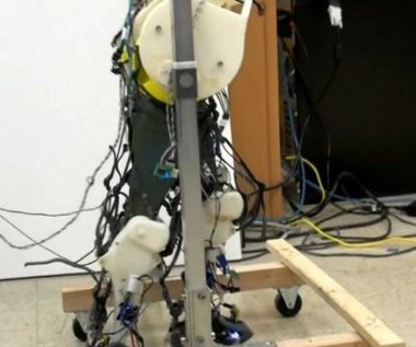 Ten robot jest nadzieją dla sparaliżowanych
