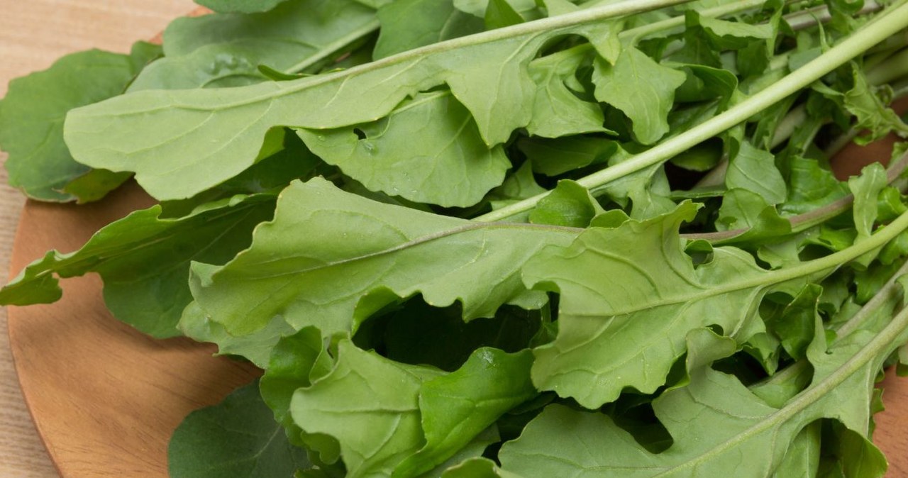 Ten rodzaj sałaty ma dobry wpływ na oczy, stawy i jelita. Seniorzy powinni jeść często. /y-studio /Canva Pro
