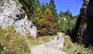 Ten szlak turyści najchętniej wybierają jesienią. Bardzo widokowy i niezbyt trudny