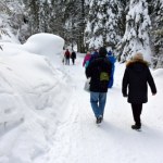 Ten szlak warto przejść zimową porą. Widoki i klimat robią wrażenie