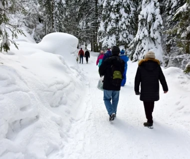 Ten szlak warto przejść zimową porą. Widoki i klimat robią wrażenie  