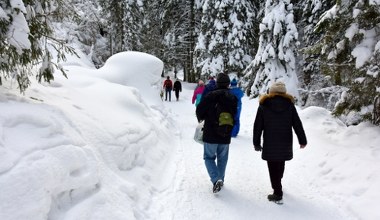 Ten szlak warto przejść zimową porą. Widoki i klimat robią wrażenie  