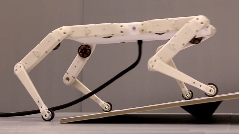 Ten tani i prosty czworonożny robot zawstydza zaawansowane robo-psy [FILM] /Geekweek