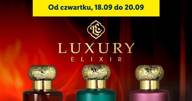 Ten zapach kosztuje grosze, a pachnie jak luksusowe perfumy za setki złotych /Lidl /INTERIA.PL