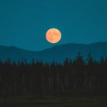 Ten znak zodiaku odczuje zmianę najmocniej. Horoskop na wrzesień nie pozostawia wątpliwości