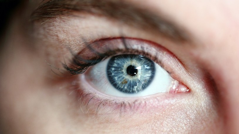 Terapia genowa jest już w stanie przywrócić wzrok całkowicie niewidomym /Geekweek