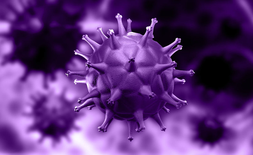 Terapia genowa sposobem na walkę z wirusem HIV /123RF/PICSEL