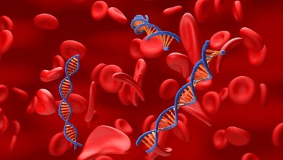 Terapie genowe. Nadzieje są poważne, ale potrzeba cierpliwości