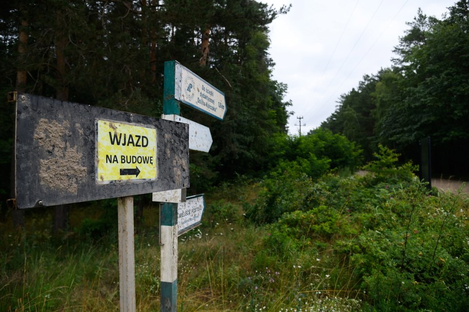 Teren budowy zamku w Stobnicy na terenie chronionego Obszaru Natura 2000 w Puszczy Noteckiej w trakcie budowy /Jakub Kaczmarczyk /PAP