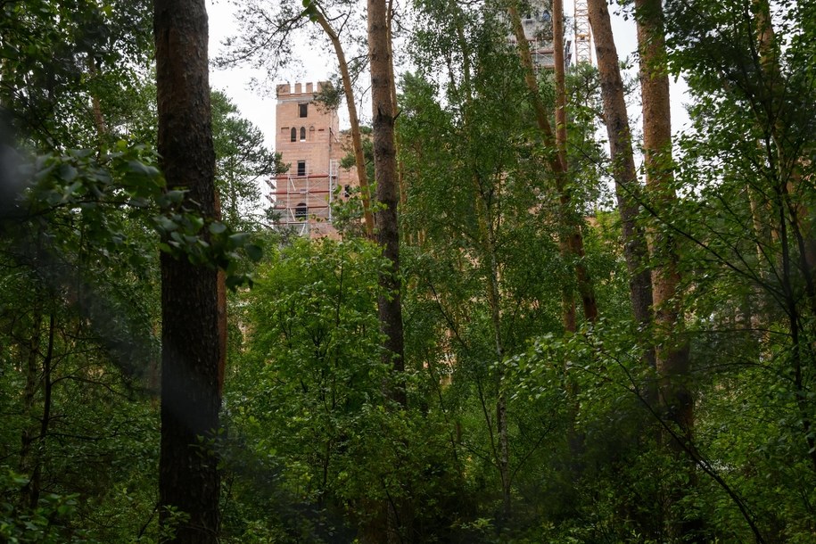 Teren budowy zamku w Stobnicy na terenie chronionego Obszaru Natura 2000 w Puszczy Noteckiej /	Jakub Kaczmarczyk   /PAP