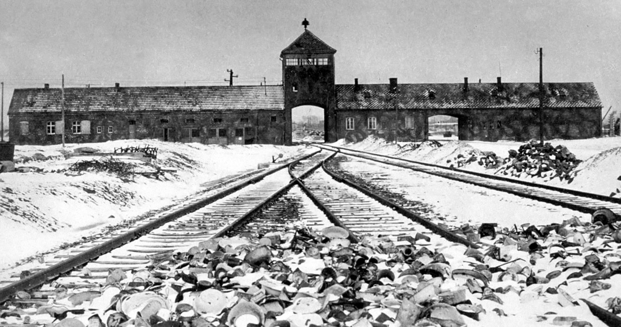 Teren obozu Auschwitz-Birkenau /Bridgeman Images – RDA /Agencja FORUM