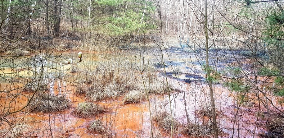 Tereny dawnych Zakładów Chemicznych "Organika-Azot" w Jaworznie /Przemysław Błaszczyk /RMF MAXX