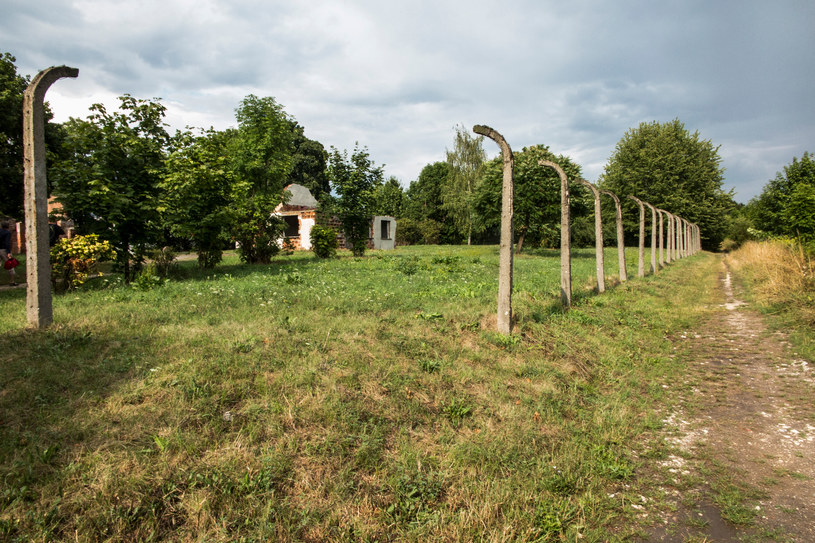Every weekend, the green areas of the former camp in Płaszów attract thirsty Krakow residents to breathe.  Many of them do not realize the uniqueness of this place / 123RF / PICSEL