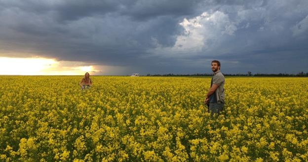 Teresa Palmer i Liam Hemsworth w scenie z filmu "Miasteczko Cut Bank" /materiały dystrybutora