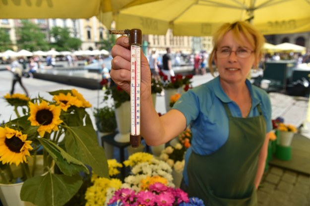 Termometr na stoisku krakowskiej kwiaciarki pani Berty pokazał w niedzielę 35 stopni Celsjusza /Jacek Bednarczyk /PAP