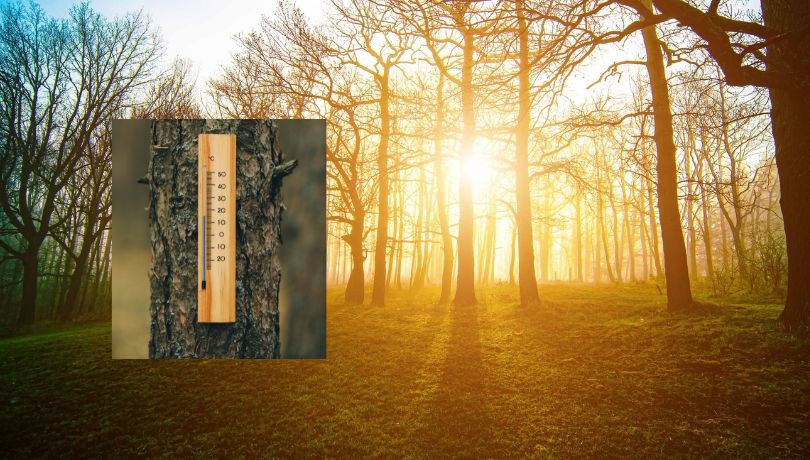 Termometry będą wskazywać coraz wyższą temperaturę /Zdjęcie ilustracyjne /Shutterstock