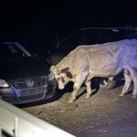 Małopolskie Województwa