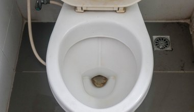 Teściowa wrzuca sól do toalety. Odkąd znam powód, też robię to regularnie