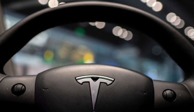 Tesla całkowicie podbije Europę? Amerykanie chcą otworzyć u nas drugą fabrykę