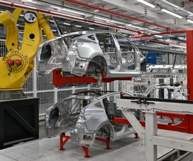 Tesla chce zatrudnić Polaków do fabryki w Berlinie. Zarobki od około 12 tys. zł 