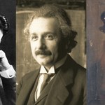 Tesla, Einstein i da Vinci. Lista najbardziej znanych wegetarian