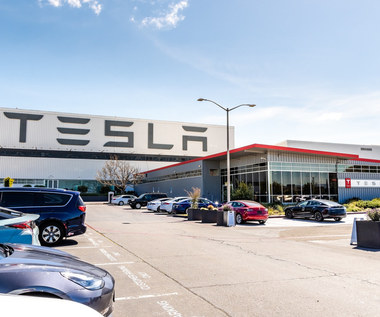 Tesla. Hertz złożył  zamówienie na 100 tys. aut. Kurs akcji skoczył o 12 procent
