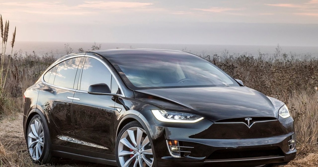 Tesla Model X /Informacja prasowa