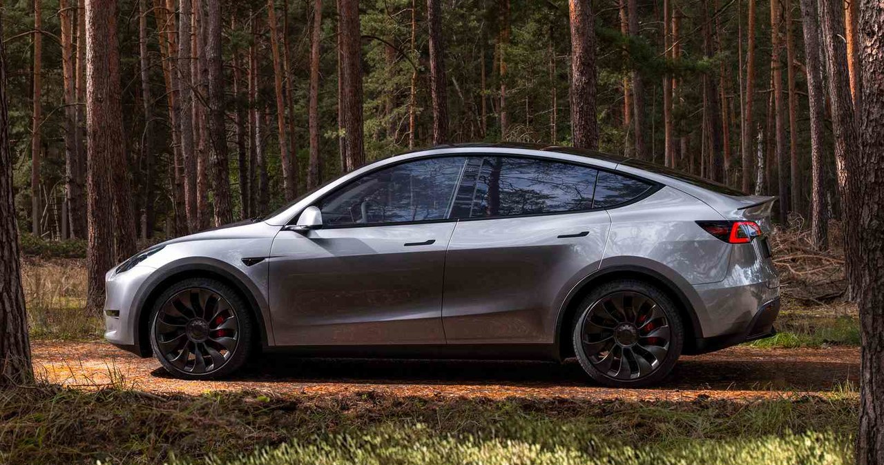 Tesla Model Y była najchętniej kupowanym autem w Szwajcarii w 2022 roku. /materiały prasowe