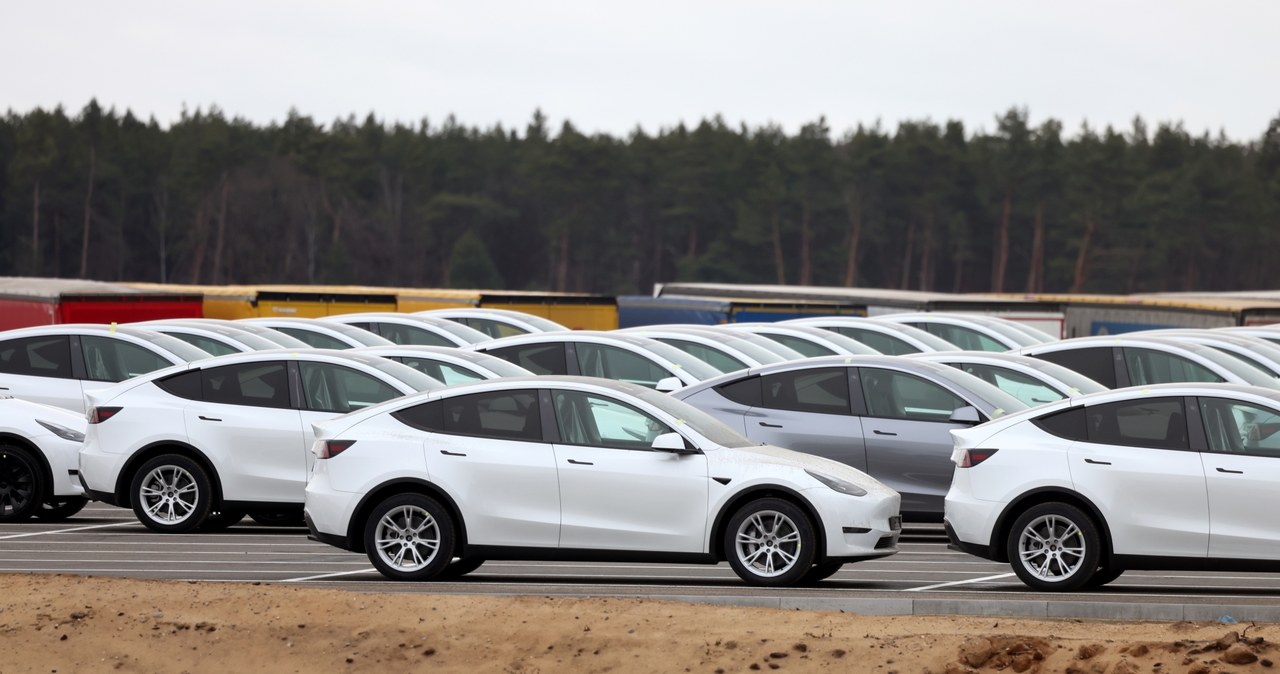 Tesla Model Y jest najlepiej sprzedającym się samochodem w Europie /Getty Images