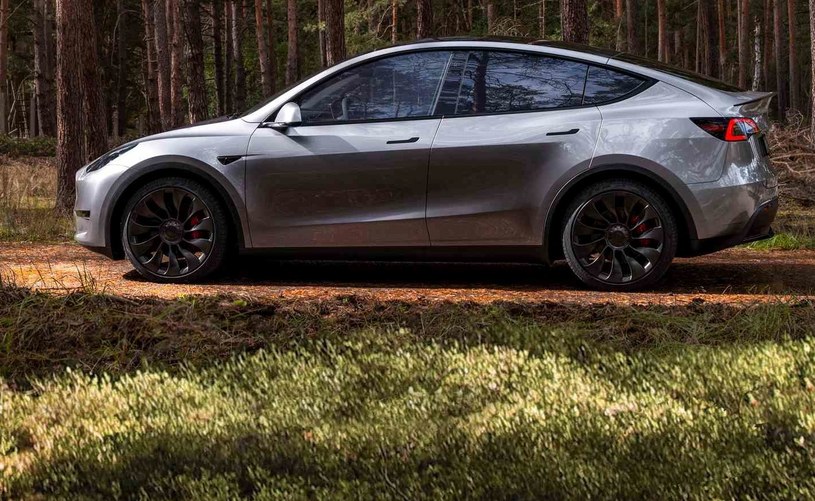 Tesla Model Y jest przebojem w Norwegii. Amerykański producent najprawdopodobniej ma jednak jeszcze większe ambicje. /materiały prasowe