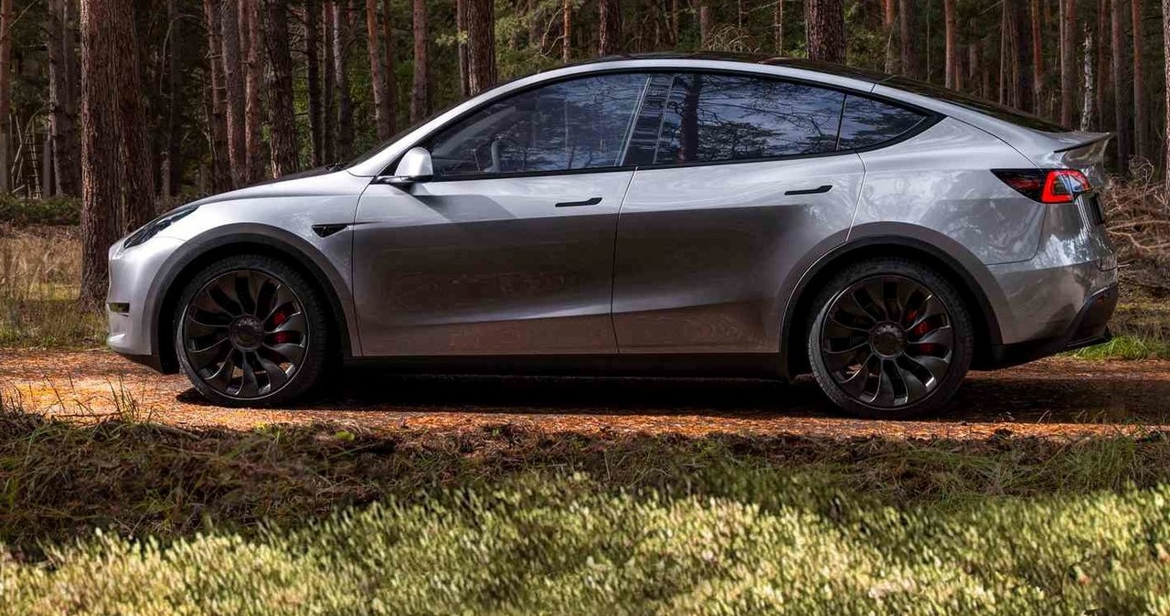 Tesla Model Y jest przebojem w Norwegii. Amerykański producent najprawdopodobniej ma jednak jeszcze większe ambicje. /materiały prasowe