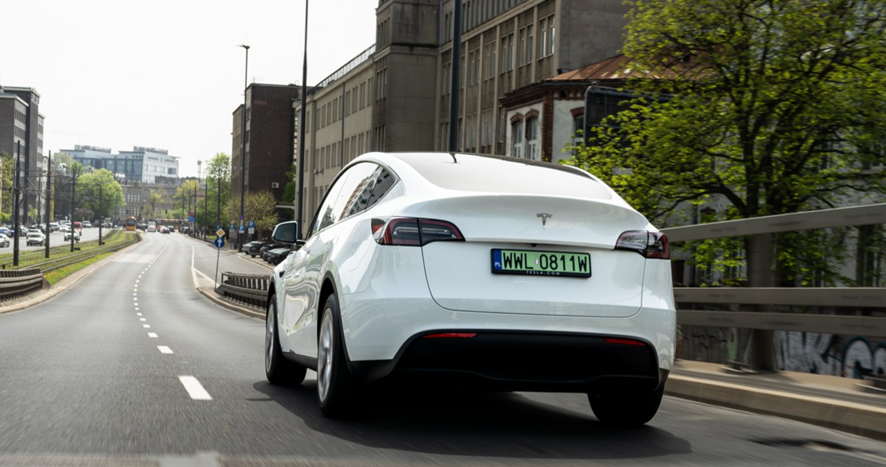 Tesla Model Y Long Range RWD wjeżdża do oferty. Globalny bestseller z zasięgiem do 600 km. /Jan Guss-Gasiński /INTERIA.PL