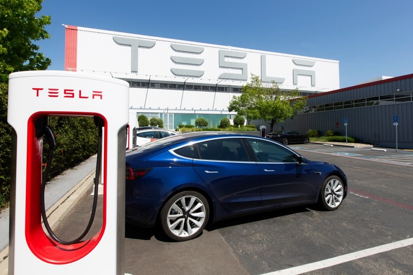 Tesla planuje duże inwestycje w Polsce /123RF/PICSEL