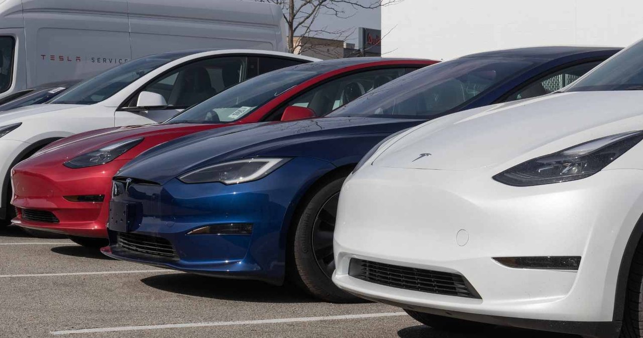 Tesla podnosi ceny. Polacy zapłacą więcej. W Niemczech bez zmian /123RF/PICSEL