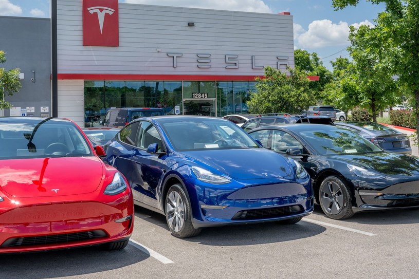 Tesla pozwała firmę z Indii. Chodzi o nazwę. /zdjęcie ilustracyjne/ /Brandon Bell /Getty Images