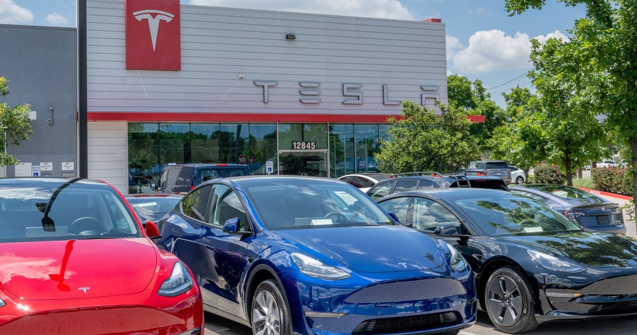 Tesla pozwała firmę z Indii. Chodzi o nazwę. /zdjęcie ilustracyjne/ /Brandon Bell /Getty Images