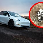 Tesla spadła z 76-metrowego klifu. To prawdziwy cud, że rodzina przeżyła