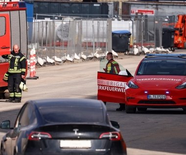 Tesla szacuje straty wynikające z awarii zasilania. Szkody są na poziomie "dziewięciocyfrowym"