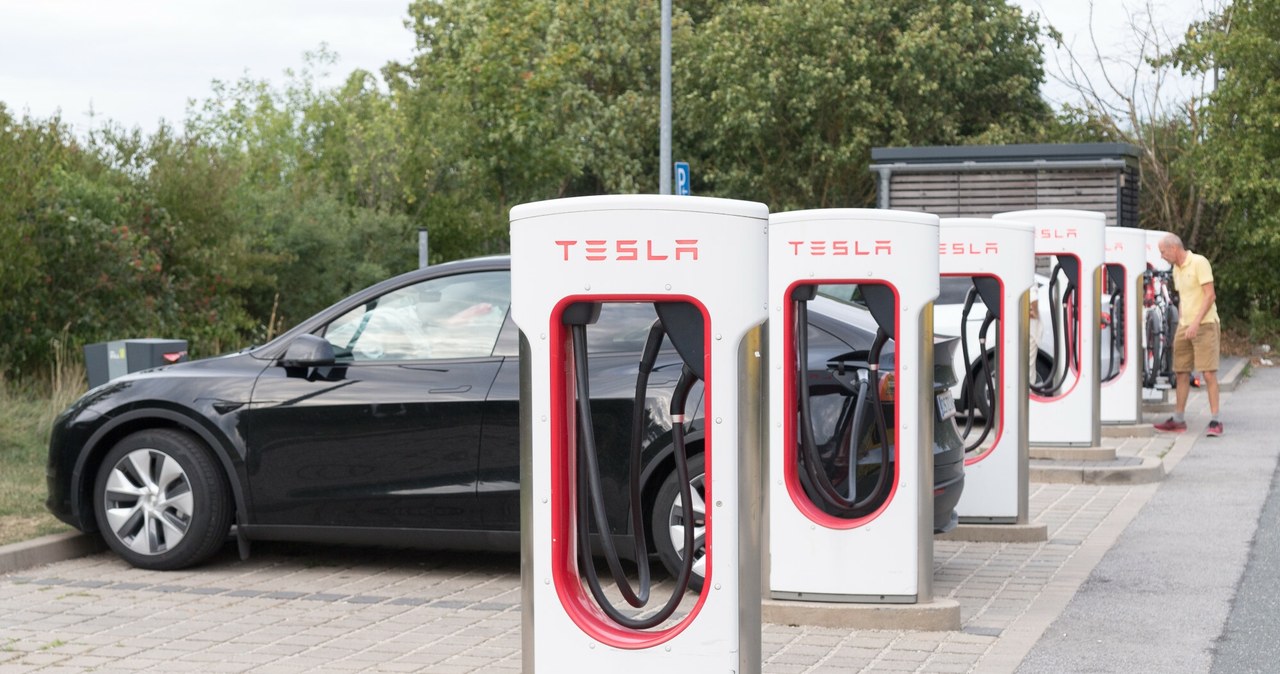 Tesla zainwestuje w Polsce miliony euro. Powstaną nowe punkty ładowania /Wojciech Strozyk/REPORTER /East News